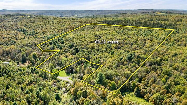 541 Blackman Hill Road  Berkshire NY 13736 photo
