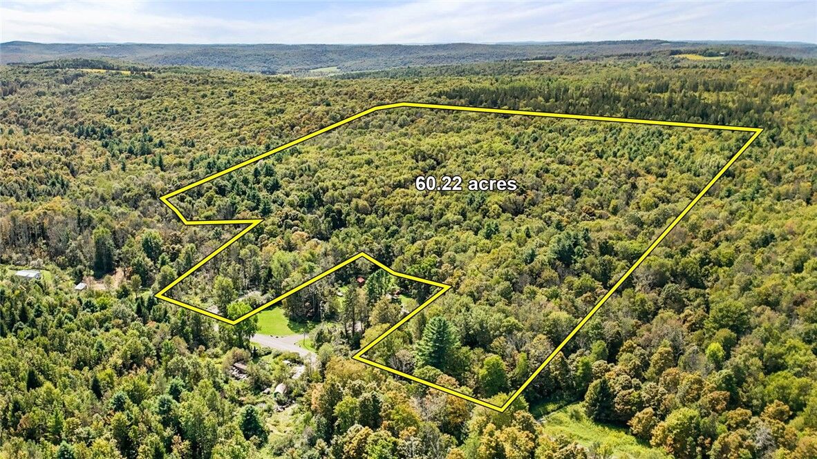 Property Photo:  541 Blackman Hill Road  NY 13736 