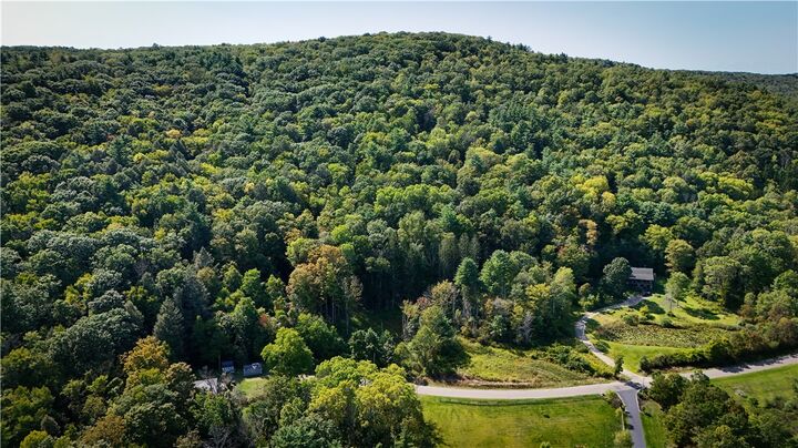 Property Photo:  0 Worden Road  NY 14892 