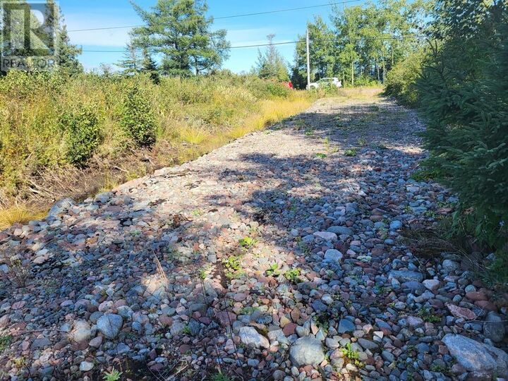 Property Photo:  45 Main Street  NL A0H 1E0 