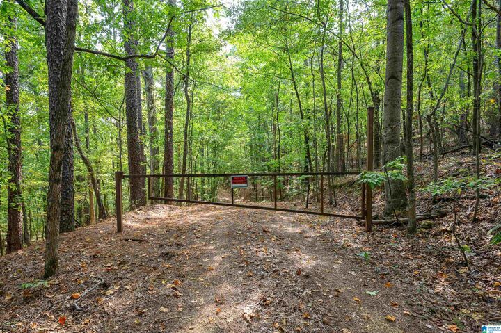 Property Photo: 00 Deer Run Road 00 AL 35007