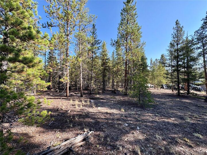 Property Photo:  776 Birch Dr  CO 80461 