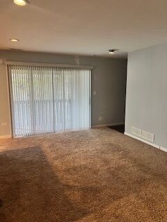 Property Photo: 1259 Cunningham Drive 3W IL 60409