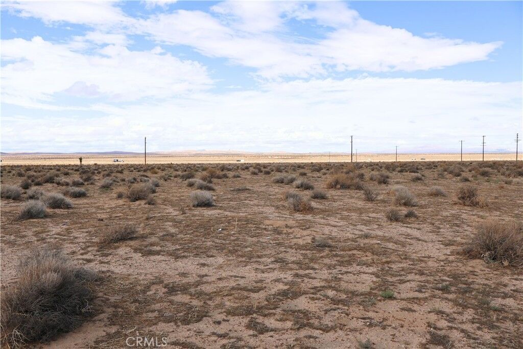 Property Photo:  0 Twenty Mule Team Road  CA 93516 
