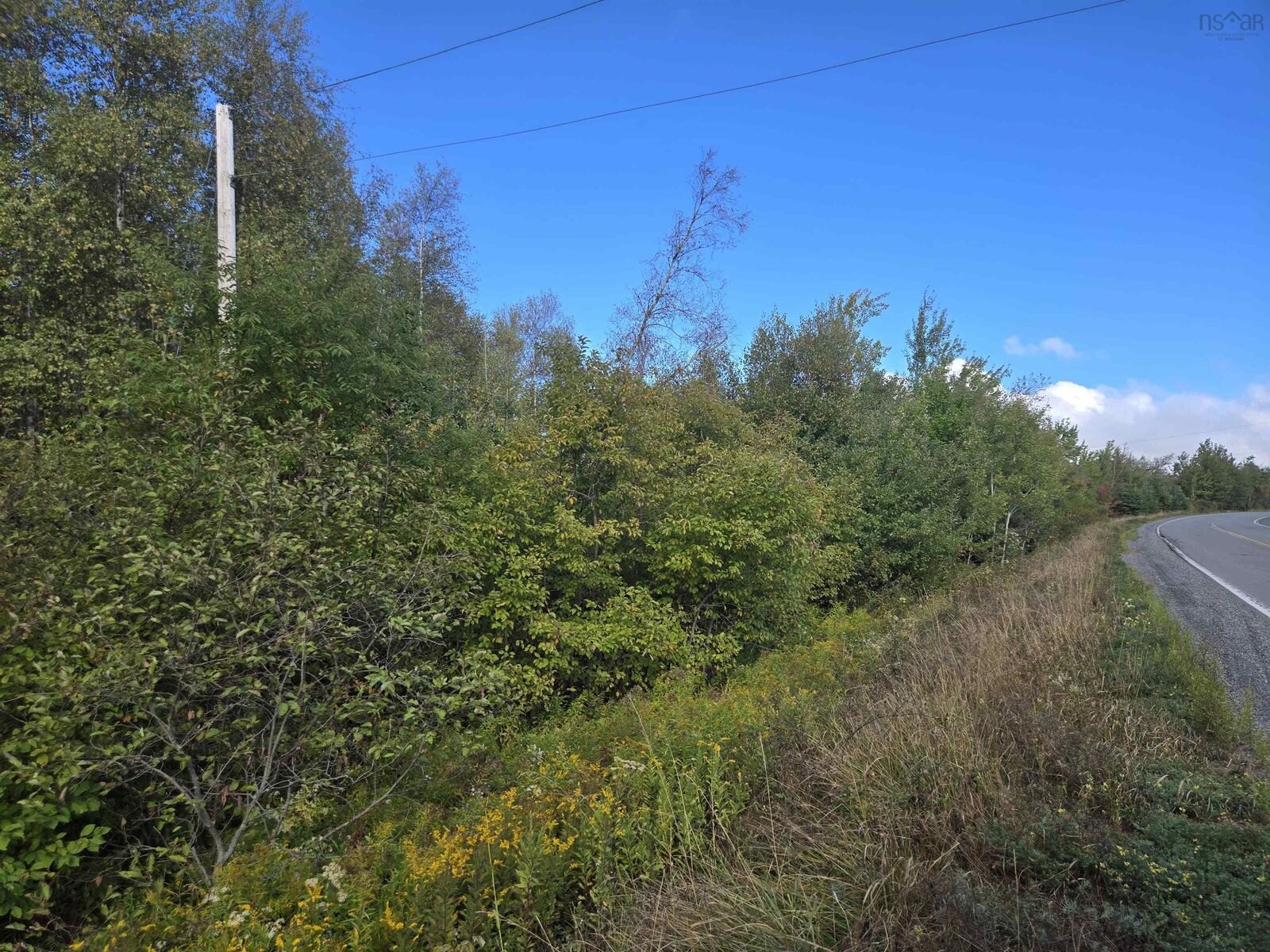 Property Photo:  Lot 7 Highway 368  NS B0K 1Y0 