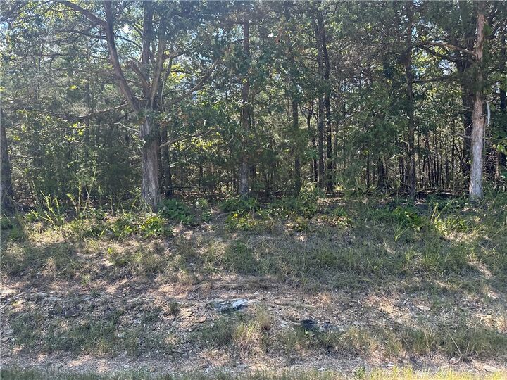 Property Photo:  11360 Hwy 125  AR 72668 