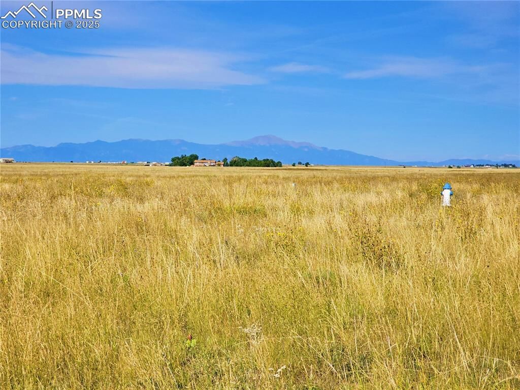 Property Photo:  23712 Redtail Drive  CO 80928 
