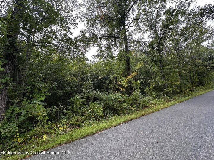 Property Photo:  0 Kelly  NY 12477 