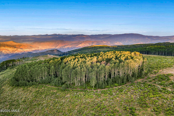 Property Photo:  000 Coffee Pot Road  CO 81637 