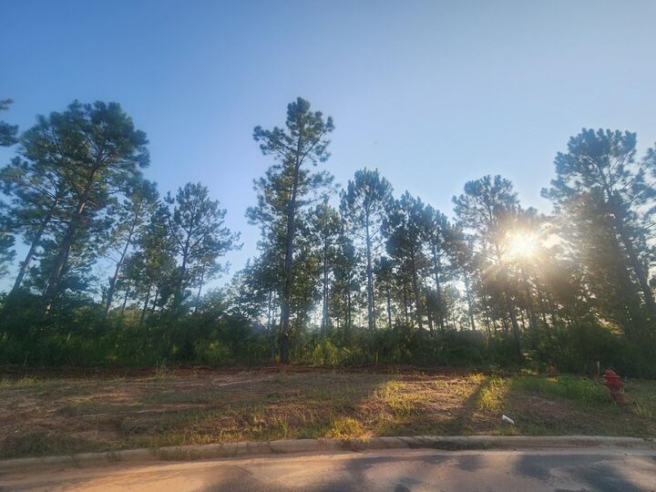 Property Photo:  Lt 132 Partridge Circle  GA 31763 