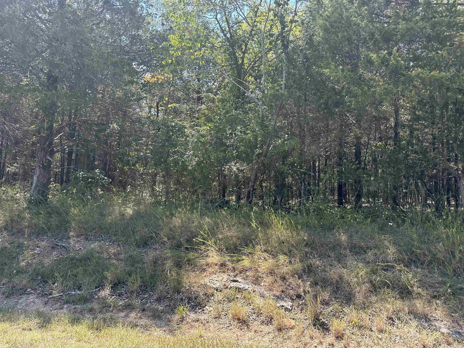 Property Photo:  11360 Hwy 125  AR 72668 
