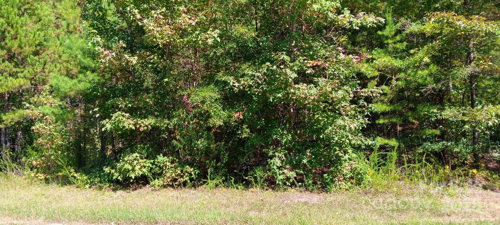 Property Photo:  0 First Corriher Street  NC 28023 