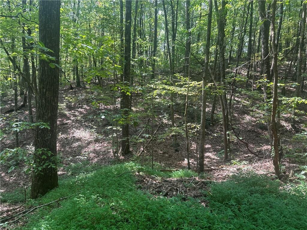 Property Photo: 101 Deer Trail GA 30143