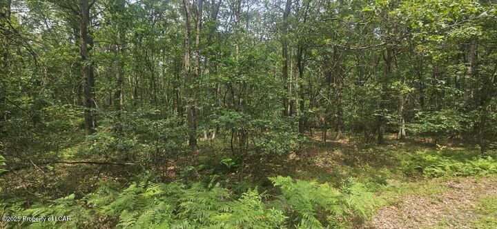 Property Photo: Lot 016 Hemlock Drive PA 18248