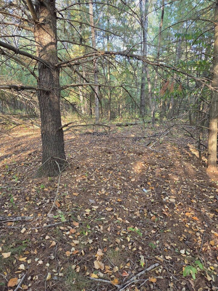 Property Photo: 523 Twentieth Street MI 48624