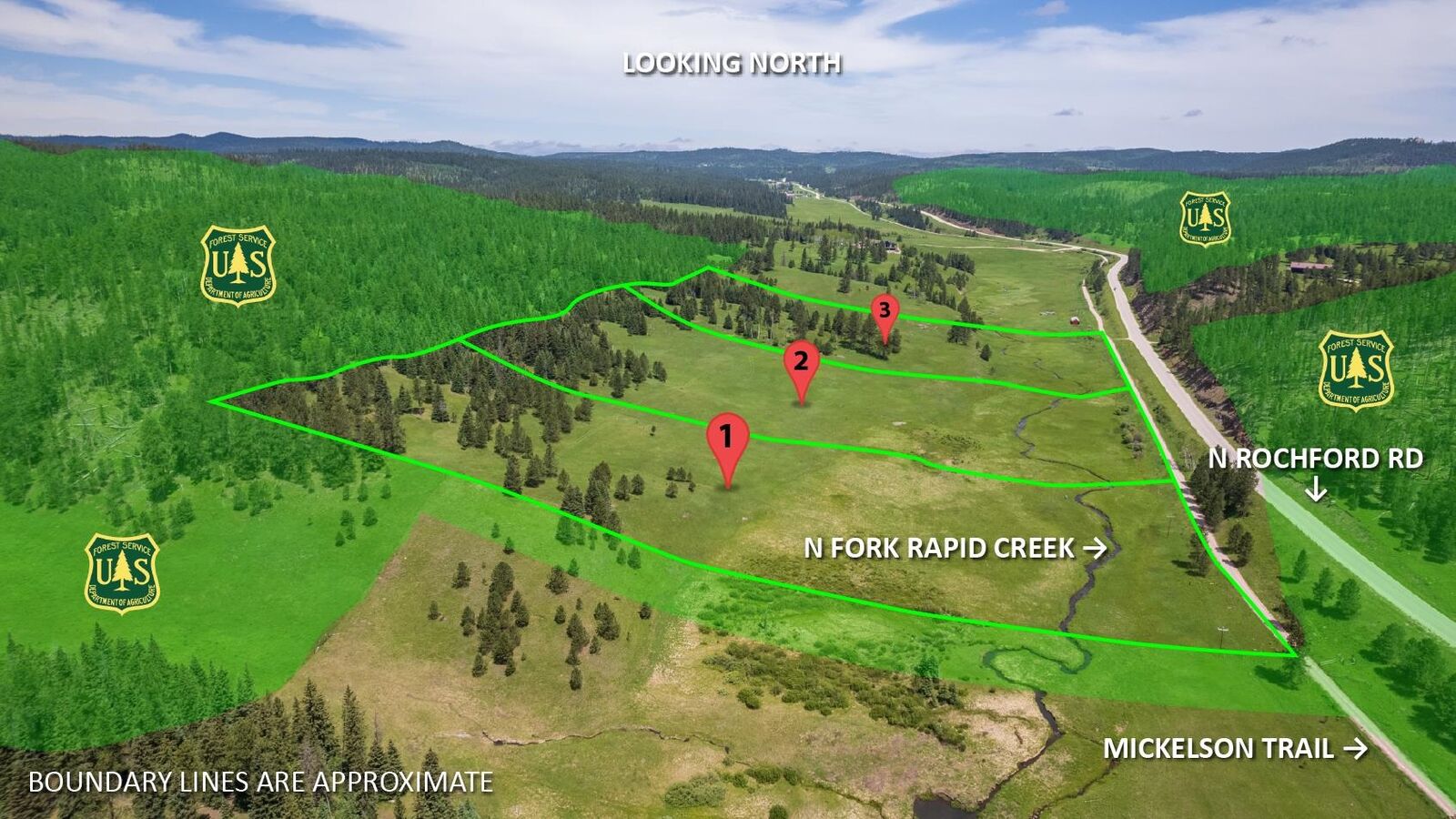 Property Photo:  10 Acres N Rochford Road  SD 57754 