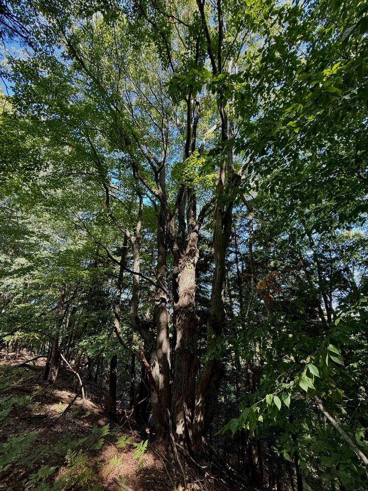 Property Photo:  18 W Woodrow Road  MI 49455