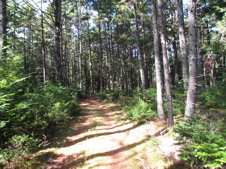 427 Old County Road  Waldoboro ME 04572 photo