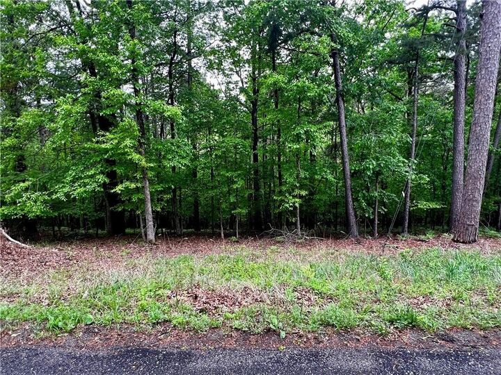 Lot 961 Spruce Drive  Rogers AR 72756 photo