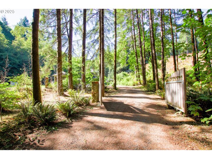 Property Photo: 92976 Deadwood Creek Rd OR 97430