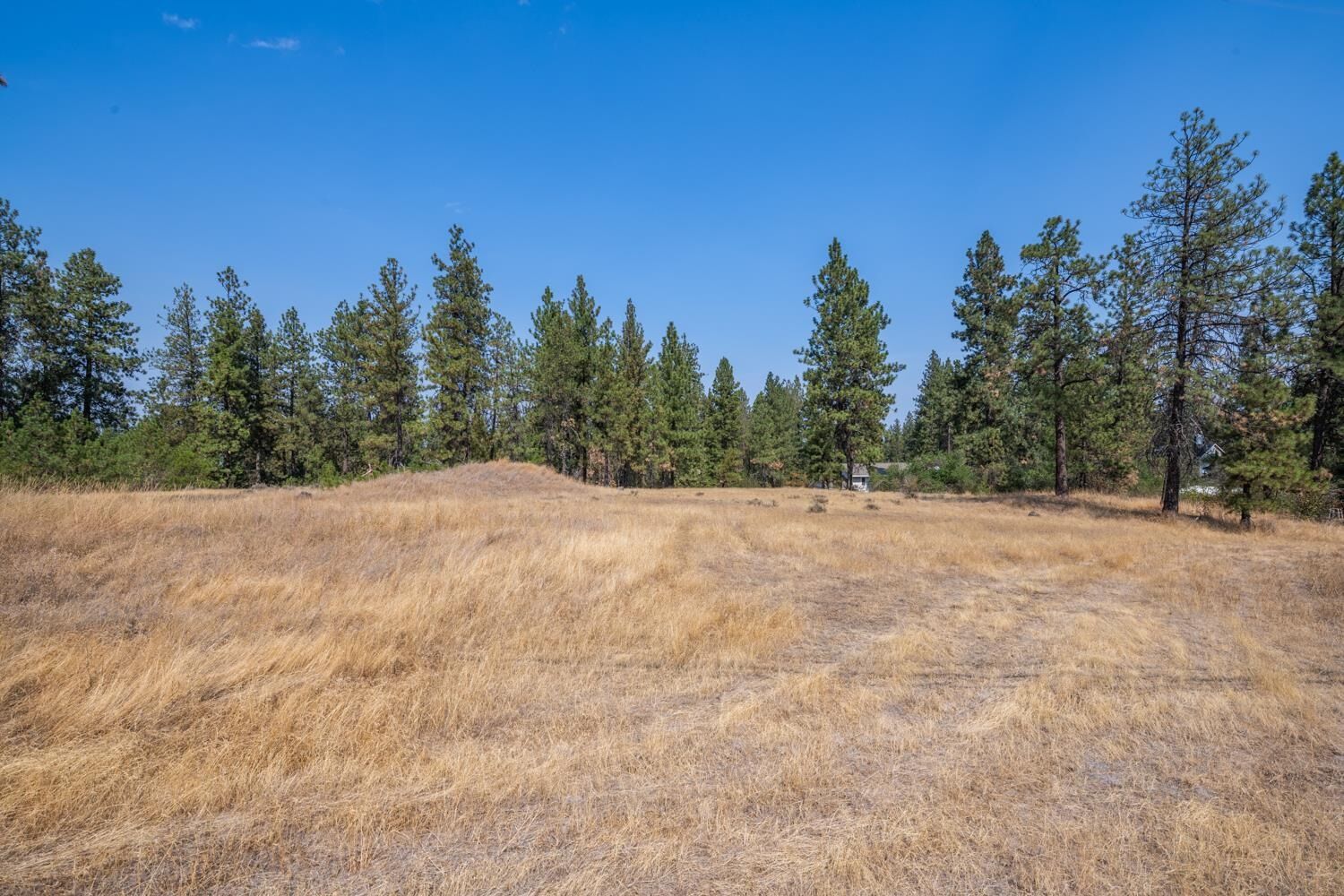 Property Photo:  Xxxx W 29th Ave  WA 99224 