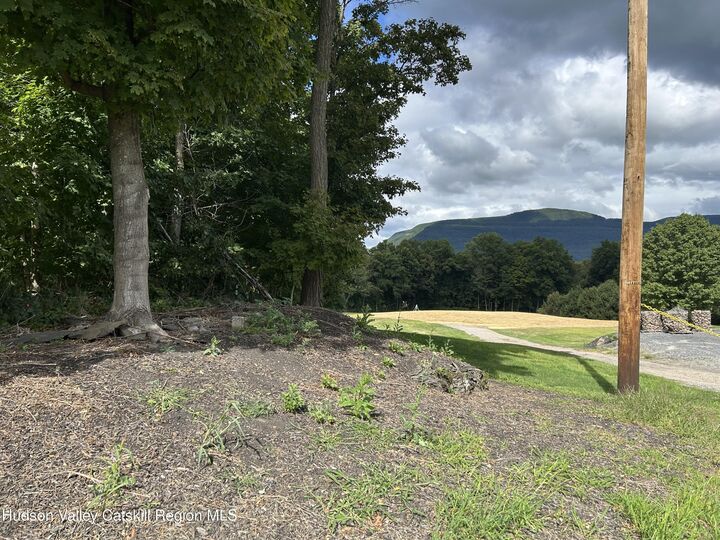 Property Photo:  4155 Route 32  NY 12477 
