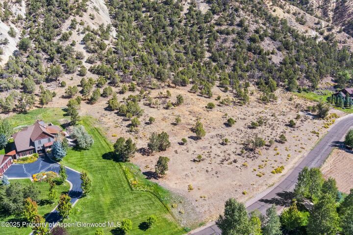 Property Photo:  364 Larkspur Drive  CO 81623 