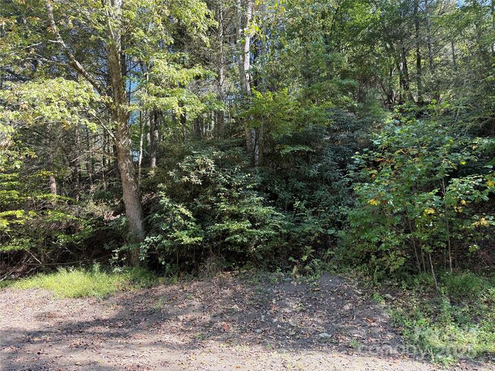 Property Photo:  Tbd Guntertown Road  NC 28753 