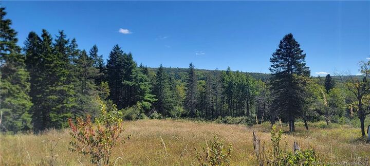 Property Photo:  Lot 01-1 Route 121  NB E5T 4Z5 