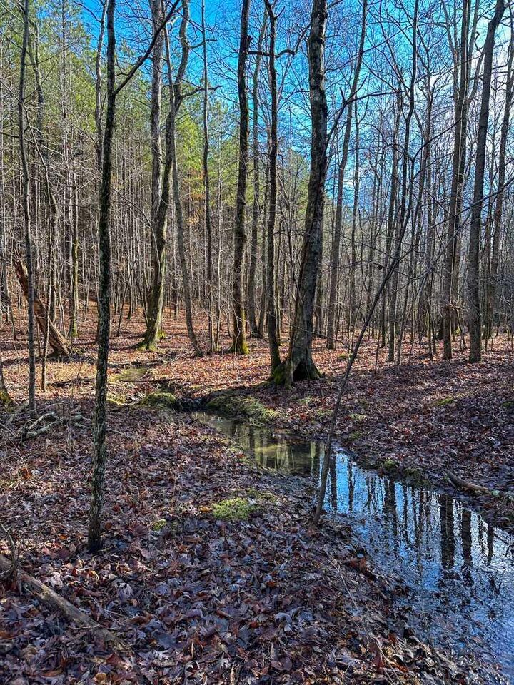 Property Photo: 0 Thunder Ridge Drive TN 37380