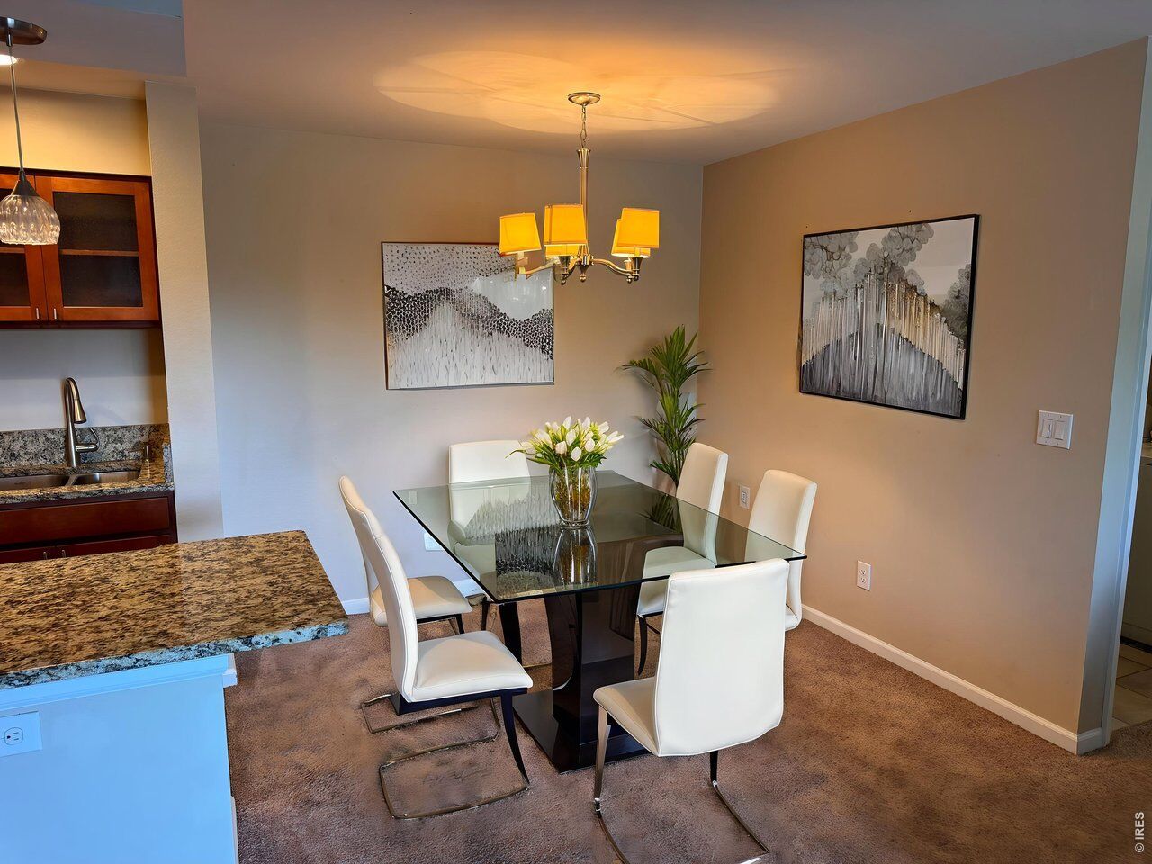 Property Photo:  4658 White Rock Cir 5  CO 80301 
