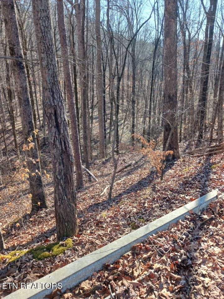 Property Photo:  311 Roberts Mill Rd  TN 37343 