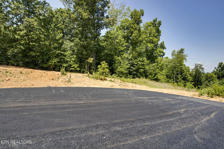 Property Photo:  675 Travellers Way  TN 37771 