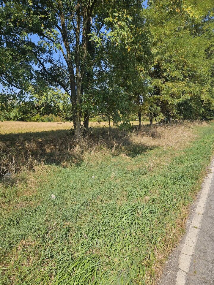 Property Photo:  Vl Thorne Road  MI 49246 