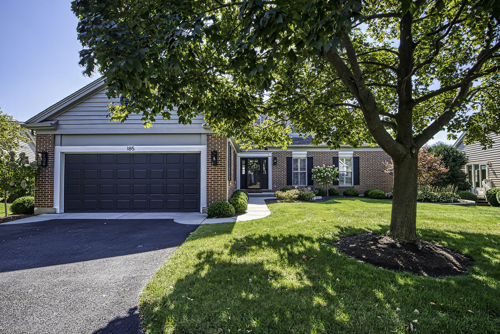 Property Photo:  185 Barra Lane  IL 60067 