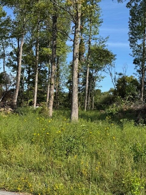 Property Photo: 0 Days Road TN 37083