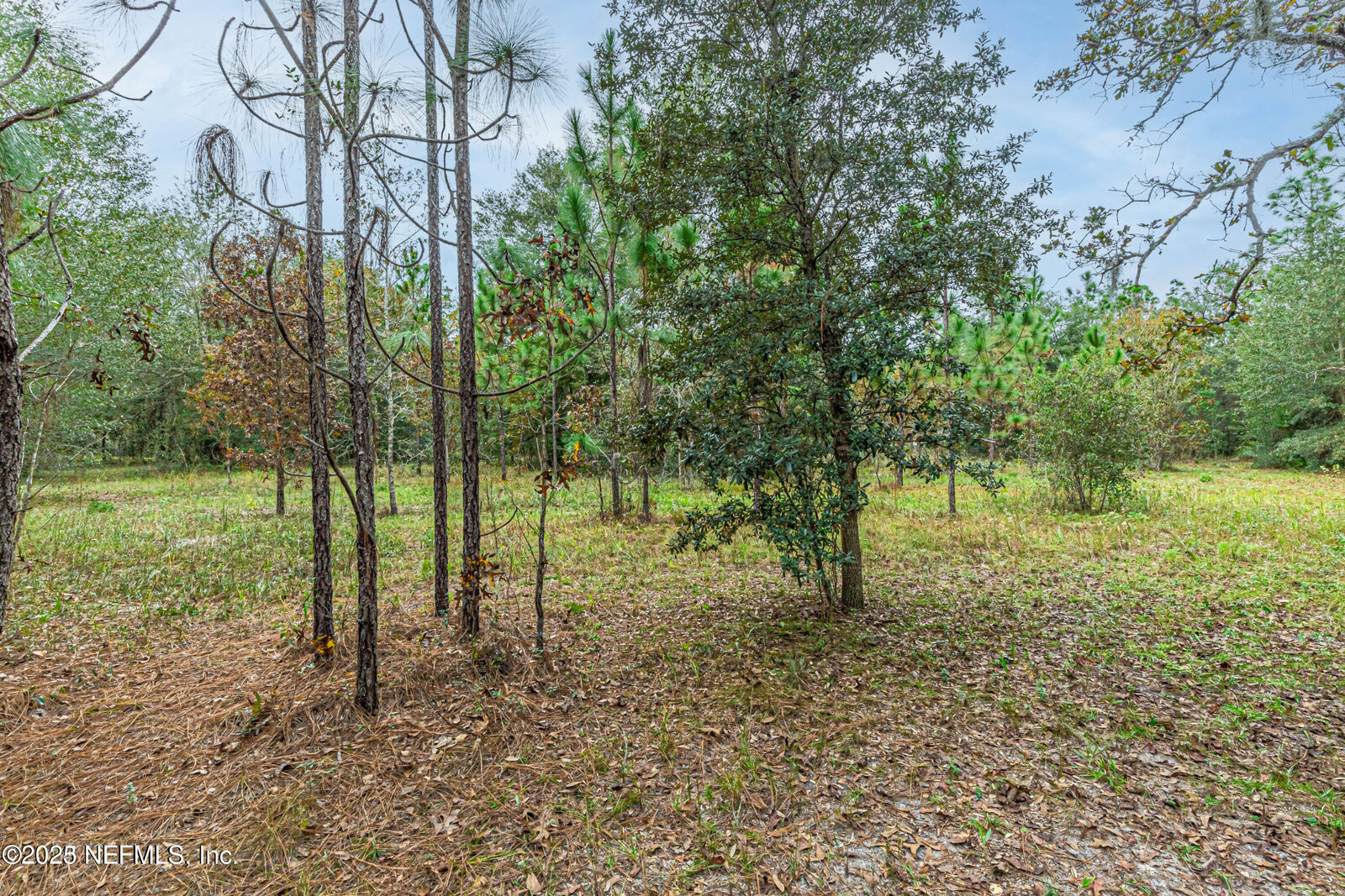 Property Photo:  00 Appaloosa Road  FL 32068 