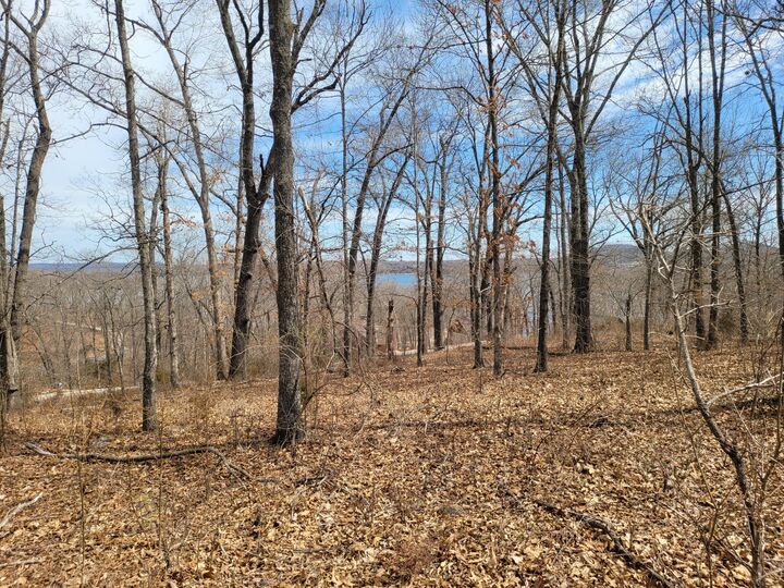 Property Photo: 60 Green Cypress Lane MO 65747