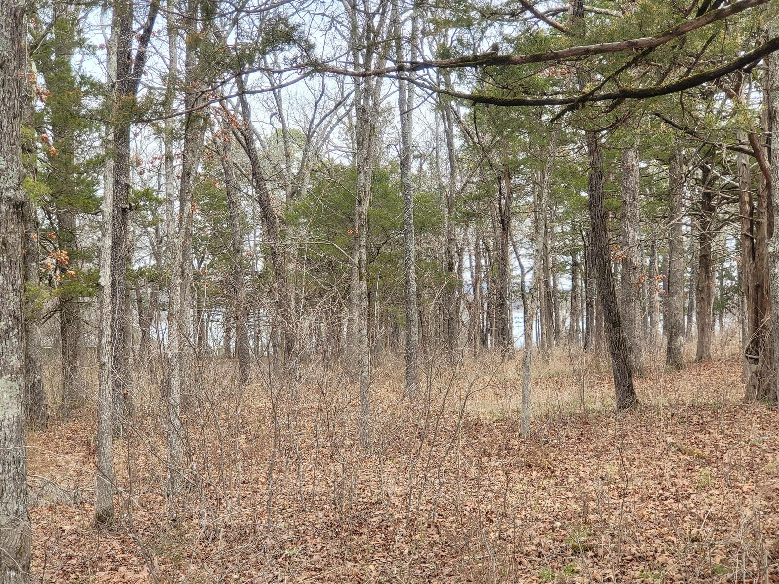 Property Photo: Lot 33 Eagles Point Lane MO 65747