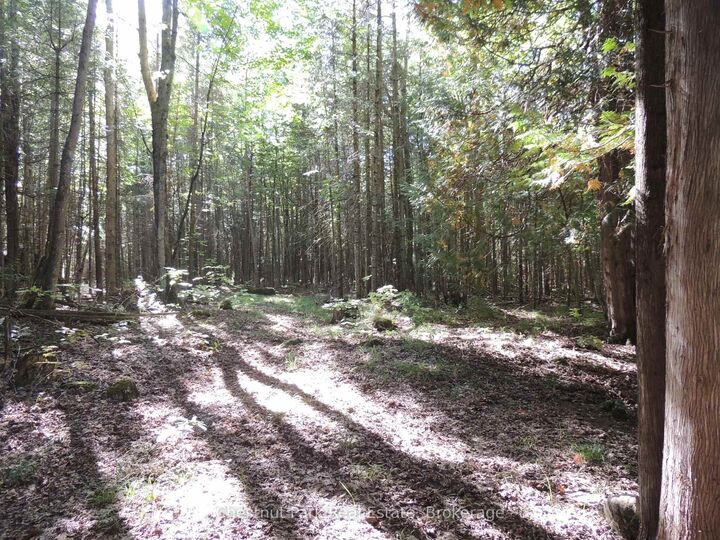 Property Photo:  596244 Concession 10 N/A  ON N0H 1R0 