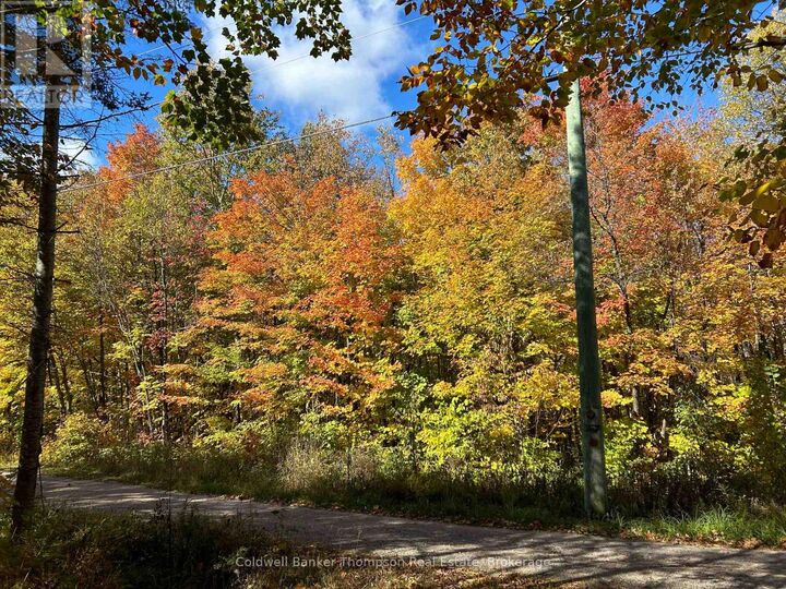 Photo de la propriété:  833 Hamilton Lake Road  ON P0A 1X0 