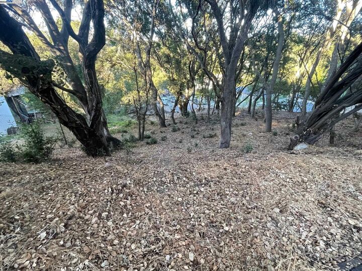 Property Photo:  25265 Morse Ct  CA 94542 