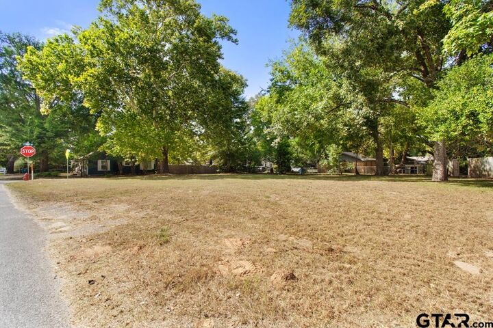 Property Photo:  111 Mallory St  TX 75771 