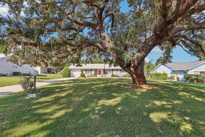 Property Photo: 12 Brigadoon Circle FL 34788