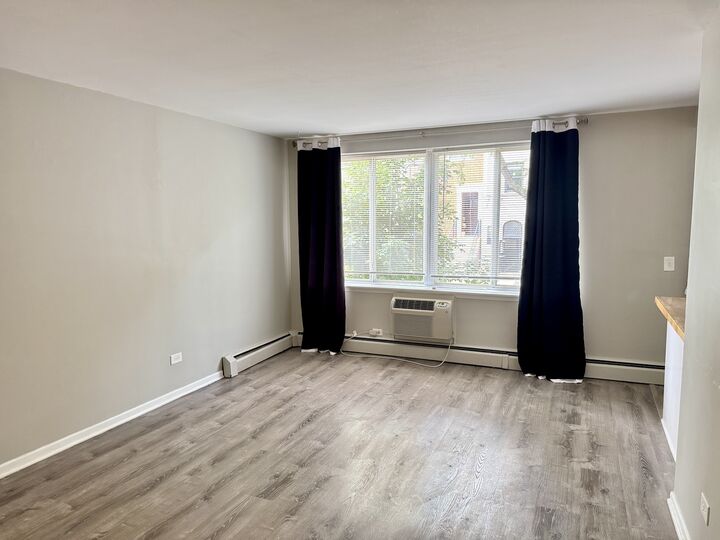 Property Photo: 539 W Stratford Place 202 IL 60657