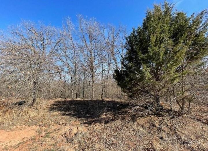 Property Photo:  220 Jesse Street  OK 73071 