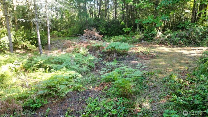 Property Photo:  4808  83rd Court NE  WA 98516 