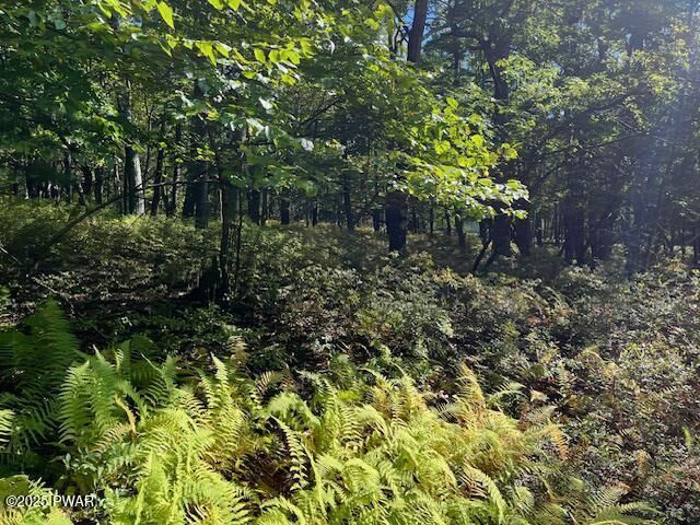 Property Photo: Lot 427 Squirrel Road PA 18328