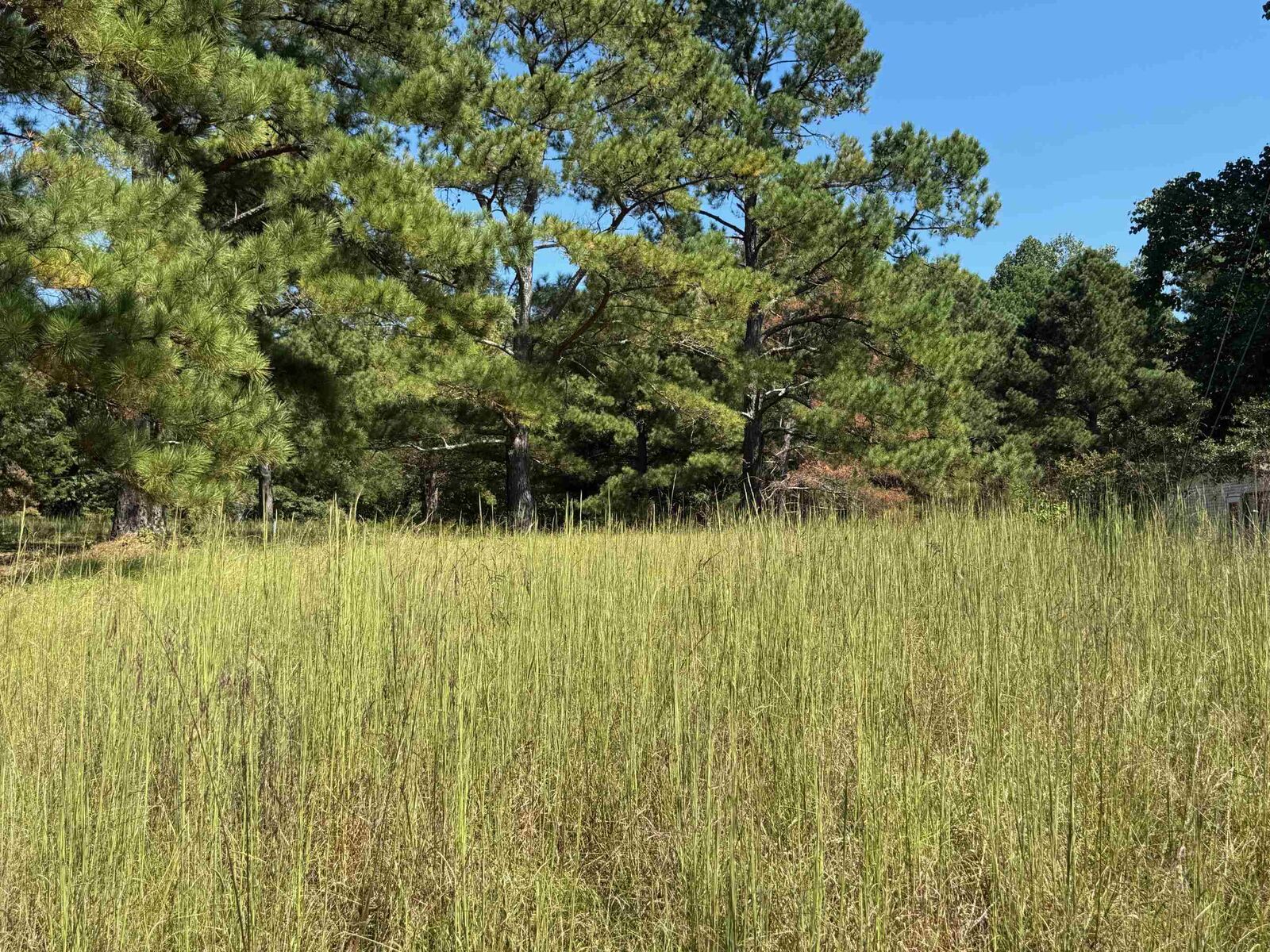 Property Photo:  0 Water Mill Road  SC 29330 