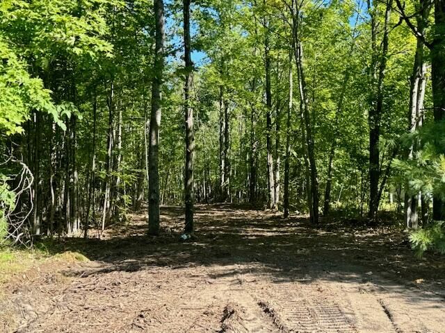 Parcel C Long Lake Rd  Cheboygan MI 49721 photo